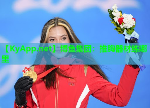 推胸器材练哪里