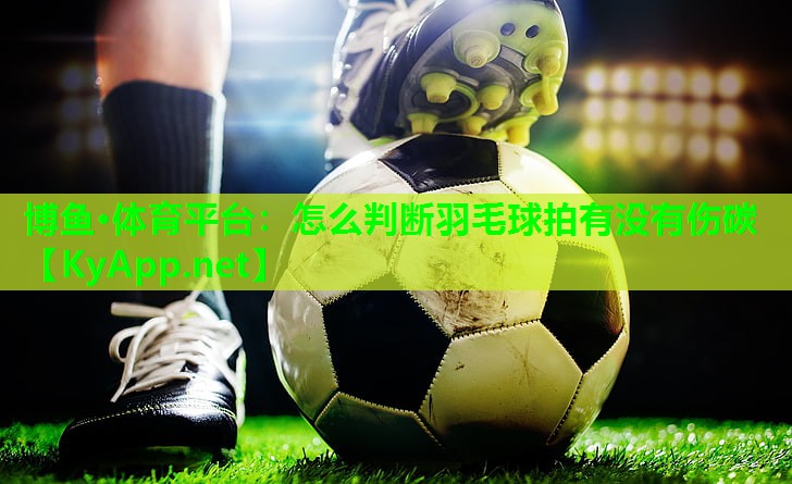 怎么判断羽毛球拍有没有伤碳