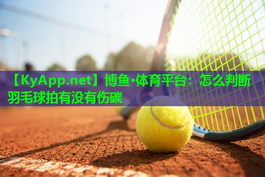怎么判断羽毛球拍有没有伤碳